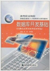 数据库开发基础 计算机软件开发的核心技能